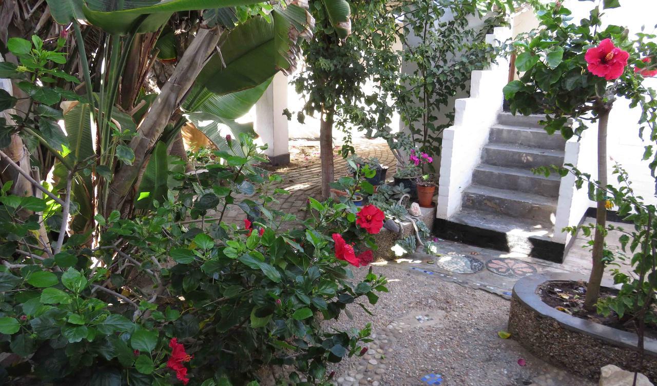 Alternative Space B & B Swakopmund Exterior photo